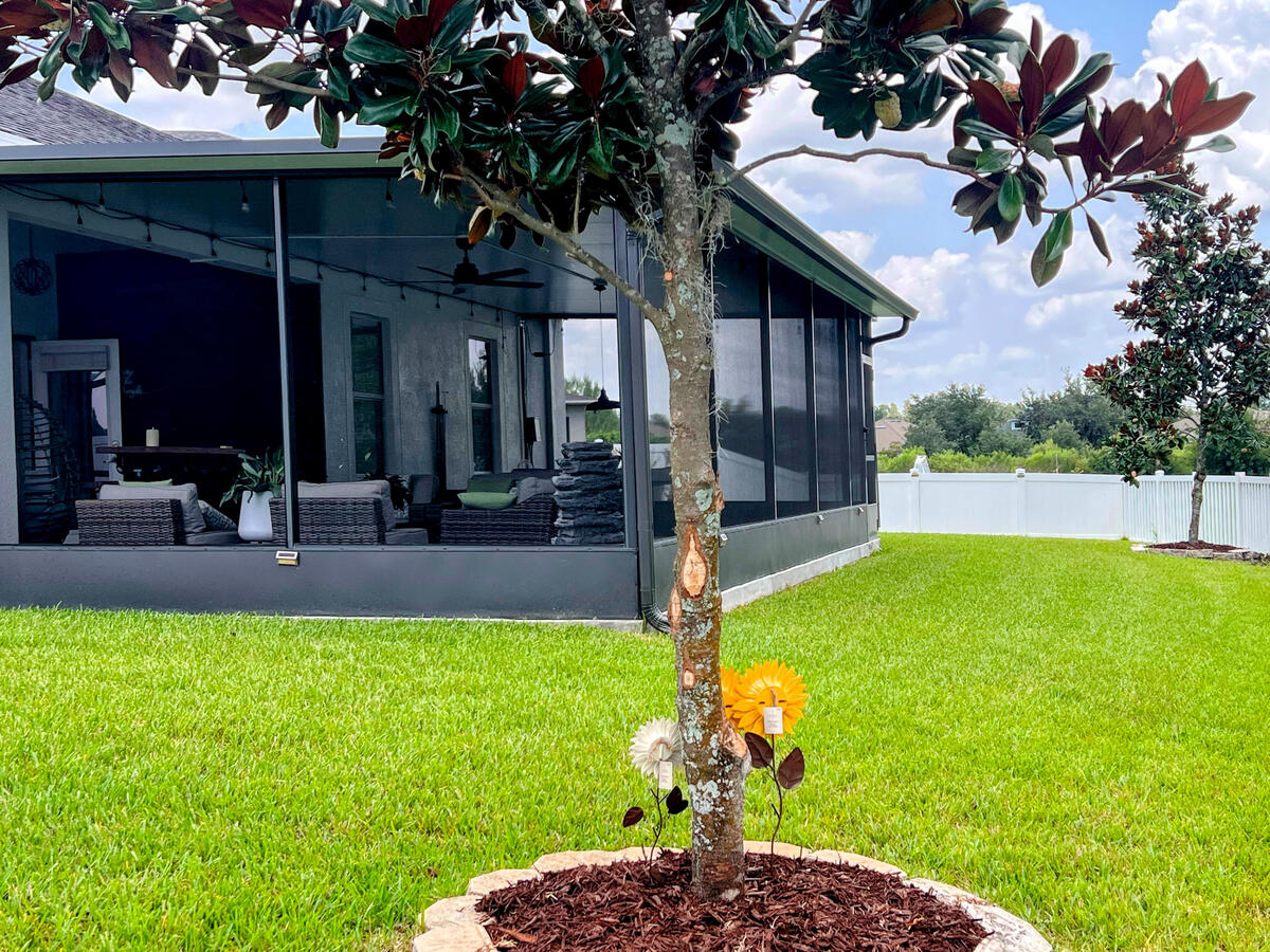 Large immaculate lawn Large immaculate lawn